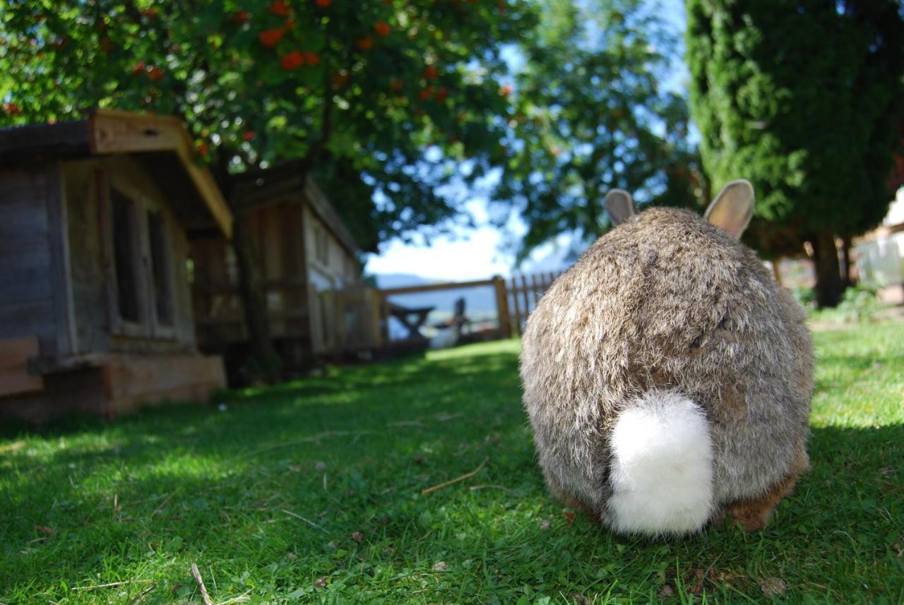 Kleintoedlinggut Villa ลีโอกัง ภายนอก รูปภาพ